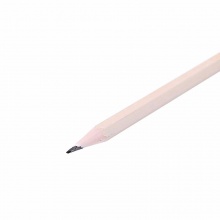 晨光铅笔AWP30417无木六角铅笔50支/筒装