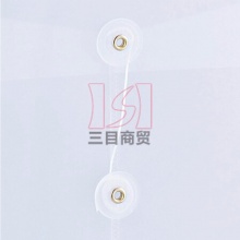 齐心透明档案袋（绳扣式）F118 A4 白色 10个/包