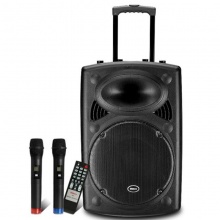 新科(Shinco)T515 户外广场舞音响 蓝牙拉杆音箱移动扩音器双麦克风15英寸