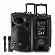 新科(Shinco)T515 户外广场舞音响 蓝牙拉杆音箱移动扩音器双麦克风15英寸