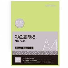 得力7391彩色复印纸 A4规格复印纸A4复印纸 297*210(浅绿)(100张/包)