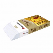齐心金齐心白色复印纸C5873-5  70g A3规格复印纸A3复印纸  高白 5包/件