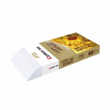 齐心金齐心白色复印纸C5883-5 80g A3规格复印纸A3复印纸 高白 5包/件