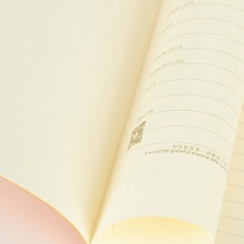 喜通软皮笔记本A50-861(A6)50K103*143MM 112页 道林