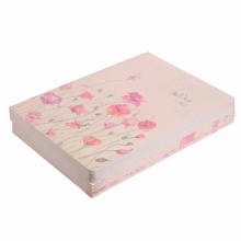 晨光 APYFF745  柔光缝线本 16K 38页 1包/10本