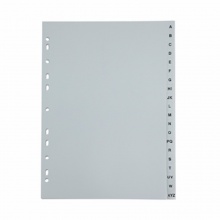 齐心索引纸 IX900 易分类 字母索引纸 A4 21页A-Z 11孔 PP