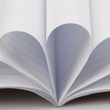 玛丽 001 软抄本 B580-62页 5本/包 