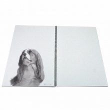 晨光速写本APYMN135 8K-50页 美术绘画专用
