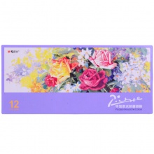 晨光12色水粉画颜料毕加索LPL97606