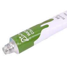 晨光12色水彩画颜料毕加索LPL97604