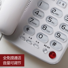 齐心电话机T333 好视角大按键双接口 白色