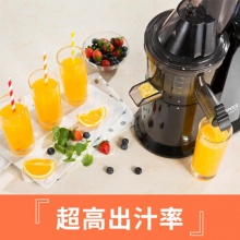 SKG榨汁机家2110 钻石银 慢速原汁机