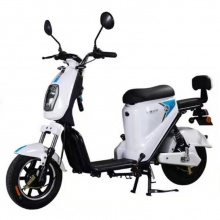 玫瑰之约电动自行车（美拉2代）TDT312-2Z 48V20AH 铅酸电池