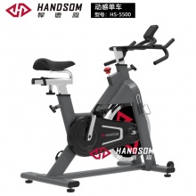 悍德森（HANDSOM）HS5500 动感单车