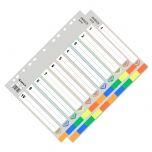 齐心PP索引纸IX902 A4十色装(11孔)