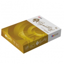 金光（APP）IK Signature（臻呈）80克A4复印纸打印纸 500张/包 5包/箱 2500张