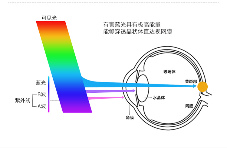 详情-04.jpg