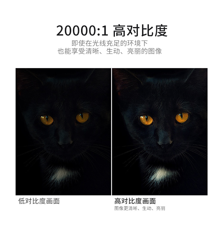 详情-10.jpg