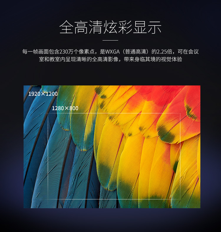 详情-03.jpg