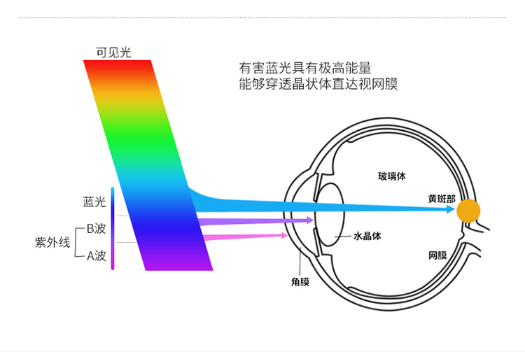详情-04.jpg
