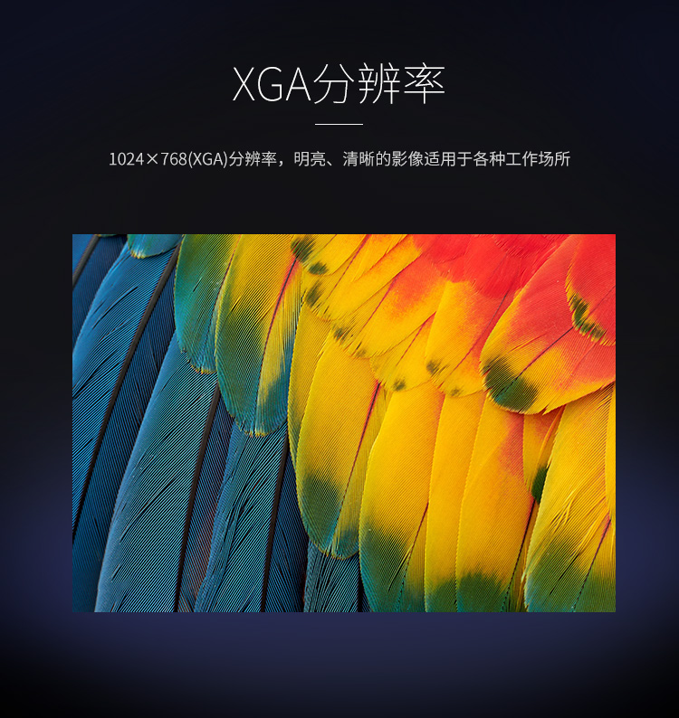 详情-03.jpg
